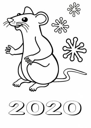 Раскраска крыса