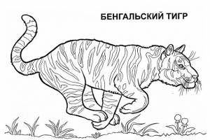 Методическая разработка Внеклассное занятие Эти удивительные тигры