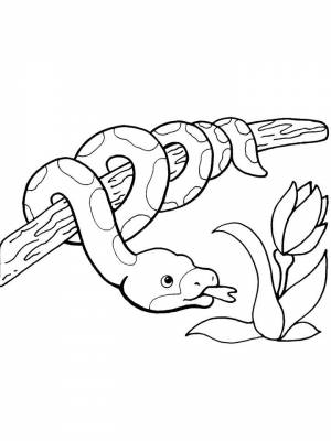 Раскраска Питон  в формате  для детей