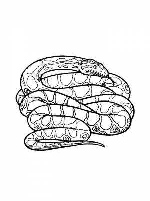 Раскраска Питон  картинку