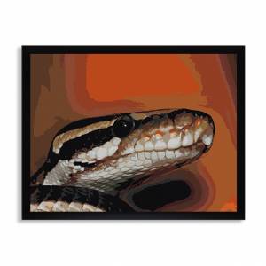 Раскраска по номерам Королевский питон