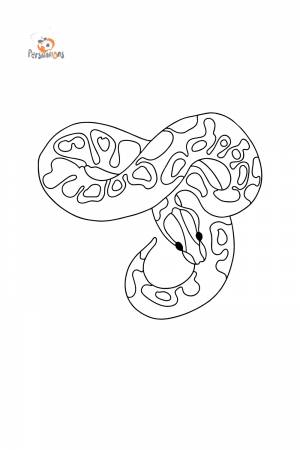 Раскраска Питон ♥ Онлайн и  для детей!