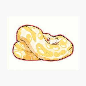 Питон рисунок