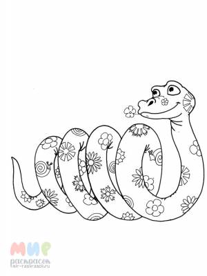 Раскраска Змея удав