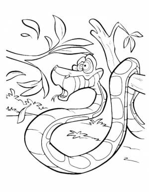 Раскраски удав, Раскраска Удав каа змея