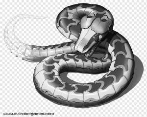 Боа-констриктор Snakes Robot Snakebot Рисование, робот, электроника, позвоночное животное, чешуйчатый Рептя png