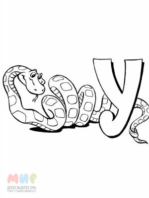 Раскраска Змея удав