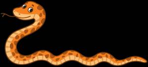 Удав картинки для детей