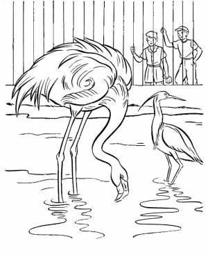 Zoo Animals Coloring Pages