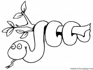 Раскраски раскраска ветвь