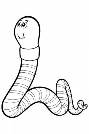 Мостовой червь раскраска