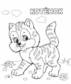 Раскраска