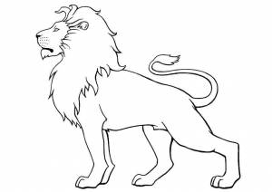 Раскраски Раскраска Лев Животные, Download print coloring page