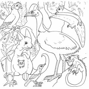 Раскраски Раскраска Разные лесные звери Животные, Download print coloring page