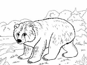 Картинки