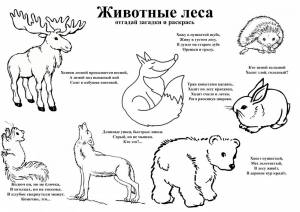 Раскраски Лесные Животные