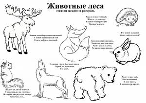 Раскраски Дикие животные задание