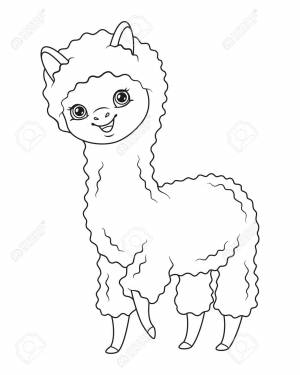 Сute Alpaca Coloring Page