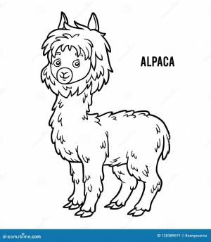 Книжка-раскраска, альпака иллюстрация вектора