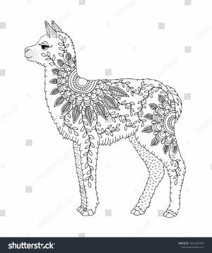 Baby Alpaca Hand Drawn Llama Adult