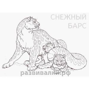 Книга-раскраска Дикие кошки