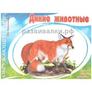 Книга-раскраска Дикие животные
