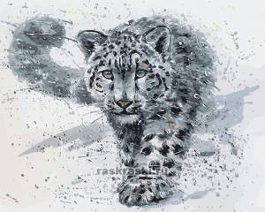 Снежный барс