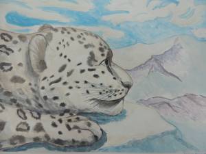 Поэтапное рисование снежного барса