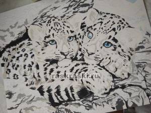 Детеныши снежного барса