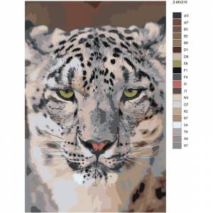 Снежный барс Раскраска картина по номерам на холсте Z-MV216