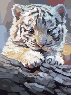 Бенгальский тигренок на бревне