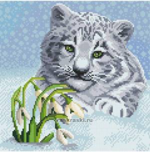 Снежный барс