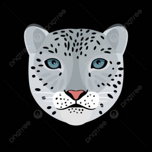 снежный барс вектор мультфильм лицо PNG , элементы, сила, ирбис PNG картинки и пнг рисунок для й загрузки