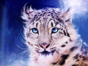 Snow-Leopard-1