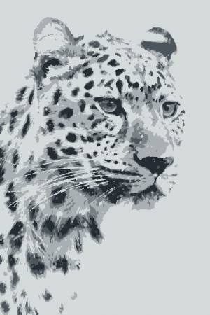 Ирбис раскраска