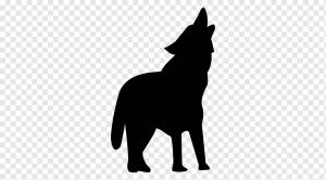 Dog Coyote Whiskers Red fox Aullido, Геометрический Волк, млекопитающее, кошка Лай Млекопитающее, карнавор png