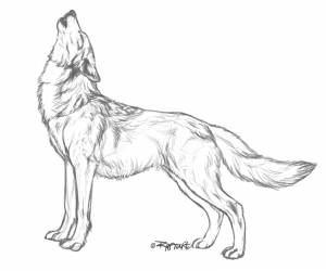 BAWWWOOOOOO by markedwolf on DeviantArt