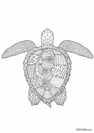 Раскраска Морская черепаха для взрослых