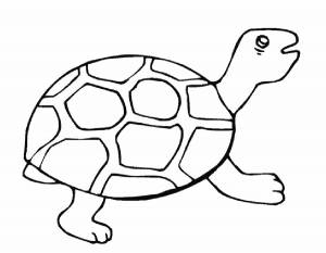Раскраска Черепаха