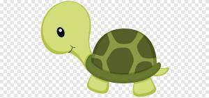 маленькая зеленая черепаха, веб-страница, морская черепаха png
