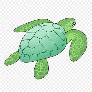 Черепаха картинки PNG и картинки пнг