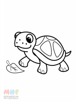 Раскраска Черепаха быстро сказка сказывается