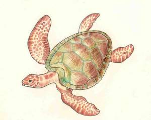 Елена Миронова