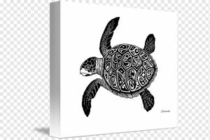 Зеленая морская черепаха Crush Drawing, тушь ландшафтный материал, Акварельная живопись, тушь, животные png