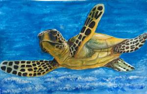 Морская черепаха