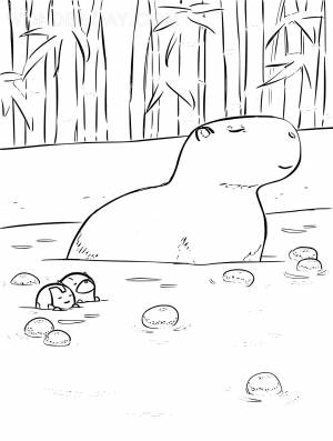 Раскраски Капибара