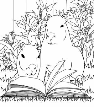 Раскраска Капибара