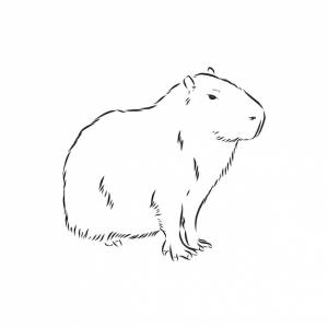 Капибара рука рисунок серии животных южной америки