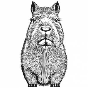 Симпатичная капибара на белом фоне рисует вручную иллюстрацию капибары