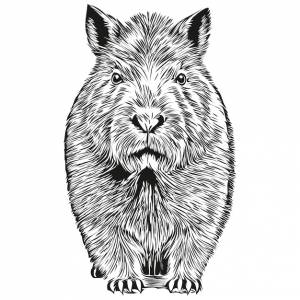 Капибара логотип черно-белая иллюстрация ручной рисунок водосвинки